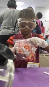 2014Workshp-des serious about science