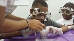 2014Workshp-kids doing science